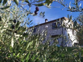 Casale Fonte Dolfa - Short rent nel bosco del Matese